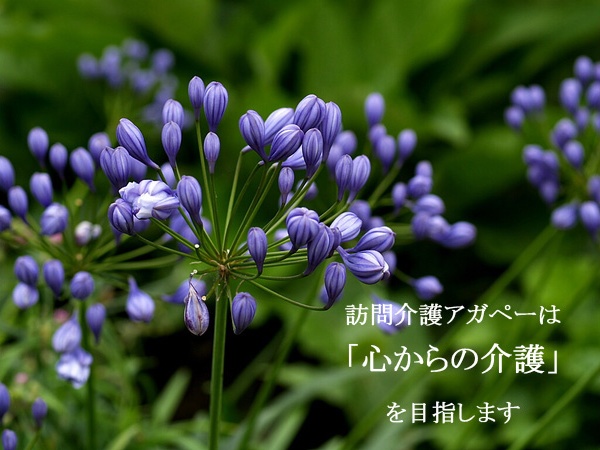 �K����A�K�y�[�͐S����̉���ڎw���܂�